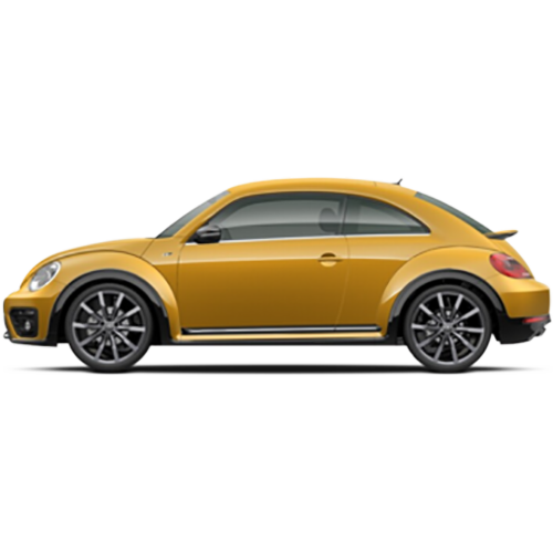 Beetle