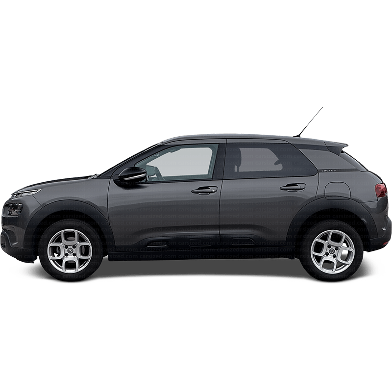 C4 Cactus
